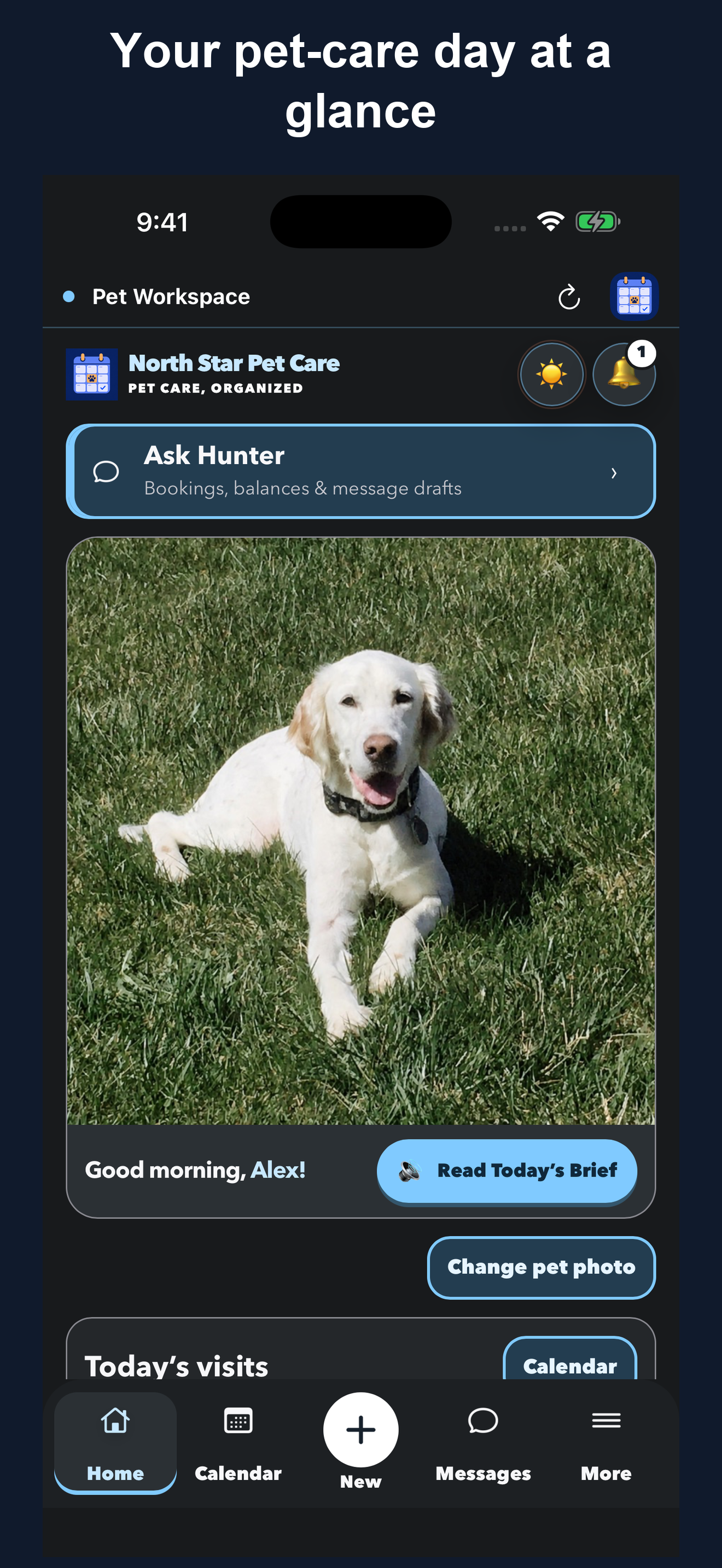 Real Pet Workspace dark-mode Home screenshot with fictional client data